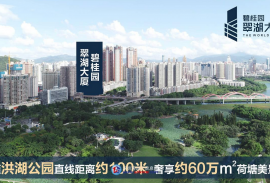 碧桂园翠湖大厦-深圳|首期5万(减)|铁路沿线，香港银行按揭，最新价单