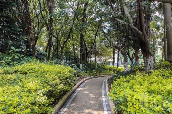 翠海花園|滿五唯壹，沒有欠款，誠心出售，戶型方正