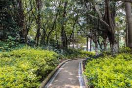 翠海花園|南向三房|眼鏡戶型|誠意出售