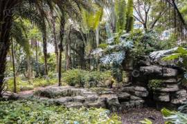 翠海花園|大平面|雙陽臺|東南向看花園|視野景觀好