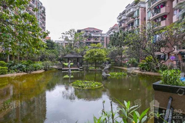 布吉陽光花園|布吉街,深圳東站,陽光無限,地鐵物業,價格超低!