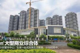 中山雅居樂民森迪茵湖，首期5萬(減)，最新價單，中港專車免費上門接載睇樓
