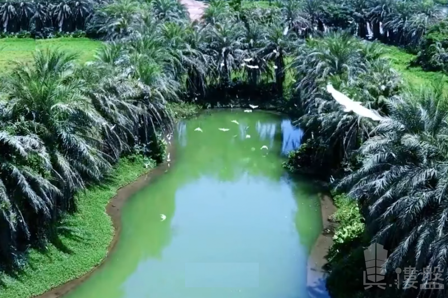 中山雅居樂民森迪茵湖，首期5萬(減)，香港銀行按揭，最新價單，中港專車免費上門接載睇樓