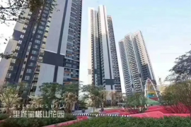 深圳里城玺樾山花园，首期5万(减)，香港银行按揭